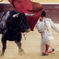 El Parlamento Europeo estudia una petición para prohibir la tauromaquia