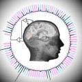 Logran que un ordenador lea las imágenes de un cerebro casi a la velocidad de la percepción (ING)