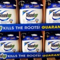 Multa de 80 millones a Monsanto por fraude en Roundup, el pesticida más vendido del mundo