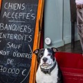 “Prohibida la entrada a banqueros. Los perros son bienvenidos”