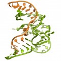 Primera estructura cristalográfica de una desoxirribozima (ADN enzimático)