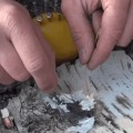 Cómo encender una fogata usando un limón