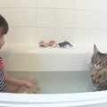 Cómo una gata le cambió la vida a una niña con autismo