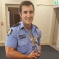 Un policía conmueve a Australia al adoptar a un bebé canguro que quedó huérfano