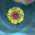 Pero, ¿están los virus vivos o no? Por qué sigue sin haber acuerdo entre los científicos