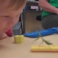 Niño vs mantis