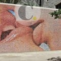 Zika en el sexo anal, ¿y en el oral? ¿O en el beso?
