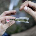 El Gobierno vasco da el primer paso hacia la regularización del cannabis en Euskadi