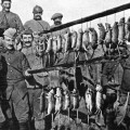 Tricheras Primera Guerra Mundial en 1916: ratas matadas por un terrier (ENG)