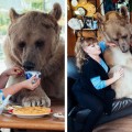 Una pareja rusa adoptó a un oso hace 23 años y aún viven juntos [FOTOS]