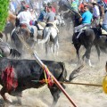 Ciudadanos se queda solo en su defensa del Toro de la Vega y se enfanga al intentar justificarse