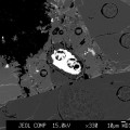 Descubren ópalo en un meteorito hallado en la Antártida (ENG)