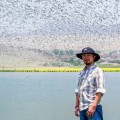 Marino Morikawa, el peruano que descontaminó una laguna en 15 días