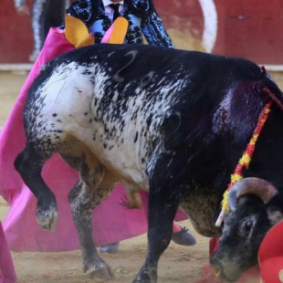 Telemadrid retransmite en directo y en horario protegido la cornada que mata al torero Víctor Barrio