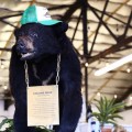 Cocaine bear', el oso que murió de sobredosis