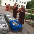 Monjes budistas compran 270 kilos de langosta para mariscada y las liberan en el mar