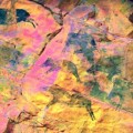 Cazando jabalíes hace 7.000 años: descubiertas antiguas pinturas rupestres en España