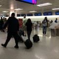 Delta Air Lines suspende todos sus vuelos [ENG]