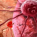 Investigadores del CNIO descubren el mecanismo que permite al cáncer sobrevivir sin glucosa