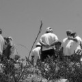 La matanza del Monte Arruit: 95 años de los 3.000 españoles pasados a cuchillo