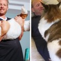 El gato más grande de Nueva York pesa casi 13 kilos y es más grande que un lince nortemericano