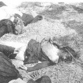80 años de la matanza programada de Yagüe en Badajoz