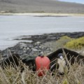 Primera extinción en Las Galápagos