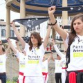 El PACMA prepara "la mayor manifestación antitaurina de la Historia de España"