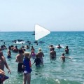 Una cadena humana de bañistas evita el varamiento de cerca de 20 cetáceos en Playa Blanca