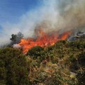 El fuego que asola el Valle del Jerte fue intencionado