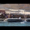 Ibiza se rebela contra la ocupación ilegal de su costa