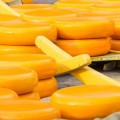 Por qué el gobierno de EE.UU. va a comprar 5 millones de kilos de queso