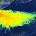 Fukushima ha contaminado hasta hoy 1/3 de los océanos del planeta [ENG]