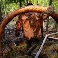 Fotorreportaje de los traficantes de colmillos de mamut en Rusia [ENG]
