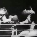 El primer video de gatos filmado en la historia (1894)