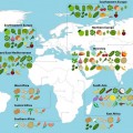 El mapa que explica de dónde son originarios los alimentos