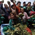Bolivia puso fin a su guerra contra las drogas por expulsar a la DEA y la legalización de la coca [en]