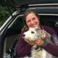 Después de 14 días de búsqueda encuentran a 'Anok', la perra perdida en Llanes por una peregrina alemana