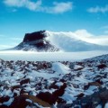 Las preocupantes implicaciones climáticas de fósiles oceánicos hallados en las Montañas Transantárticas