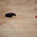 El Constitucional desmiente haber aprobado ya la prohibición de las corridas de toros en Catalunya