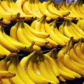 El plátano debe morir (y sólo la ciencia puede resucitarlo)