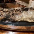 Momia del siglo V aporta pruebas de suicidios rituales entre los antiguos nobles aborígenes canarios