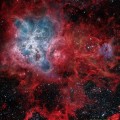 La telaraña cósmica de la nebulosa Tarántula [eng]