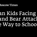 Niños rusos se enfrentan a ataques de lobos y osos en el camino a la escuela [ENG]