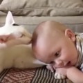 El enternecedor vídeo que muestra cómo acepta un bebé a un gato recién adoptado
