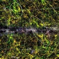 Un nuevo supercúmulo parece influir en nuestro movimiento cósmico