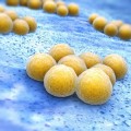 Nuestra última línea de defensa contra las bacterias resistentes a los antibióticos está empezando a caer [ENG]