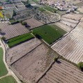 Instruyen diligencias contra un agricultor por cultivar variedades de almendro protegidas por patentes