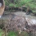 Un alcalde del PP se olvidó de 217 metros de colector: 16 años de aguas fecales en Griñón