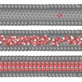 El agua se solidifica al ser calentada en el interior de un nanotubo de carbono